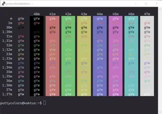 Chalkboard PuTTY color scheme preview