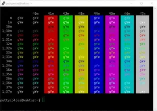 Default PuTTY PuTTY color scheme preview