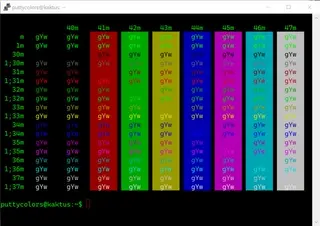 Homebrew PuTTY color scheme preview