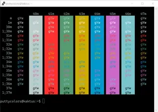 Liquid Carbon Transparent Inverse PuTTY color scheme preview