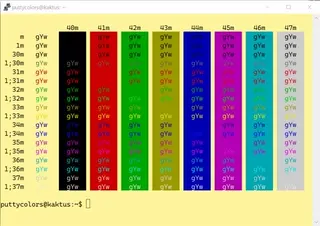 Man Page PuTTY color scheme preview