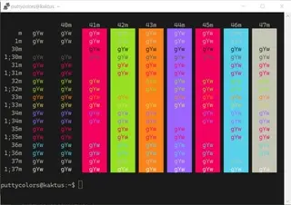 Monokai Soda PuTTY color scheme preview