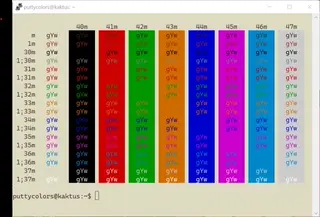 Novel PuTTY color scheme preview