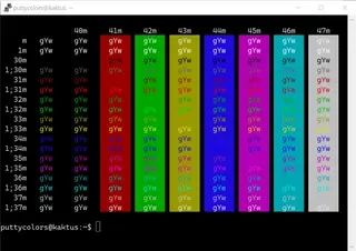 Pro PuTTY color scheme preview
