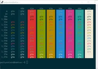 Solarized Dark PuTTY color scheme preview