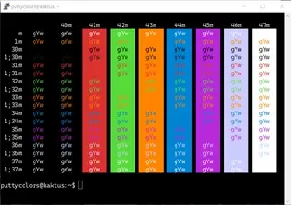 Sympfonic PuTTY color scheme preview
