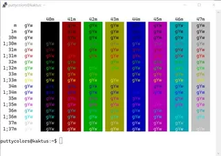 Terminal Basic PuTTY color scheme preview