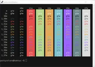 X Dotshare PuTTY color scheme preview