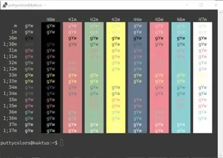 Zenburn 2 Light PuTTY color scheme preview
