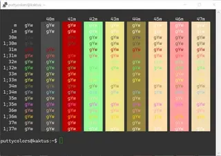 Zenburn 2 PuTTY color scheme preview